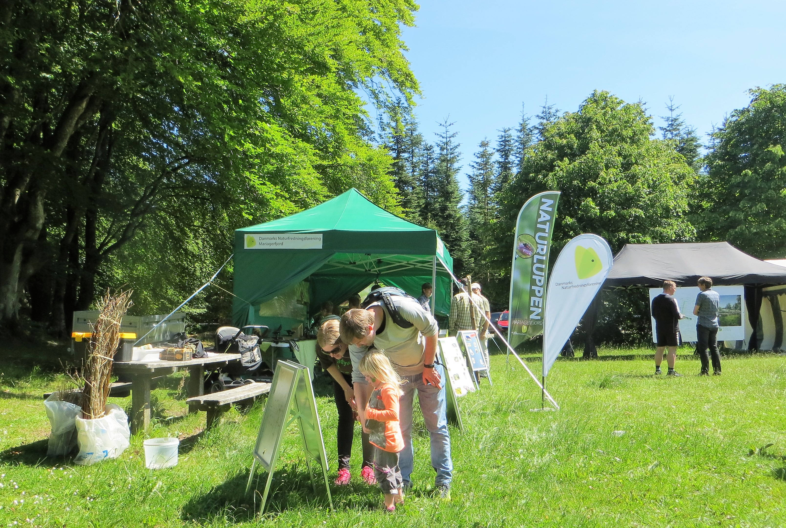 NATURLUPPEN til Sommerfest i Arden.