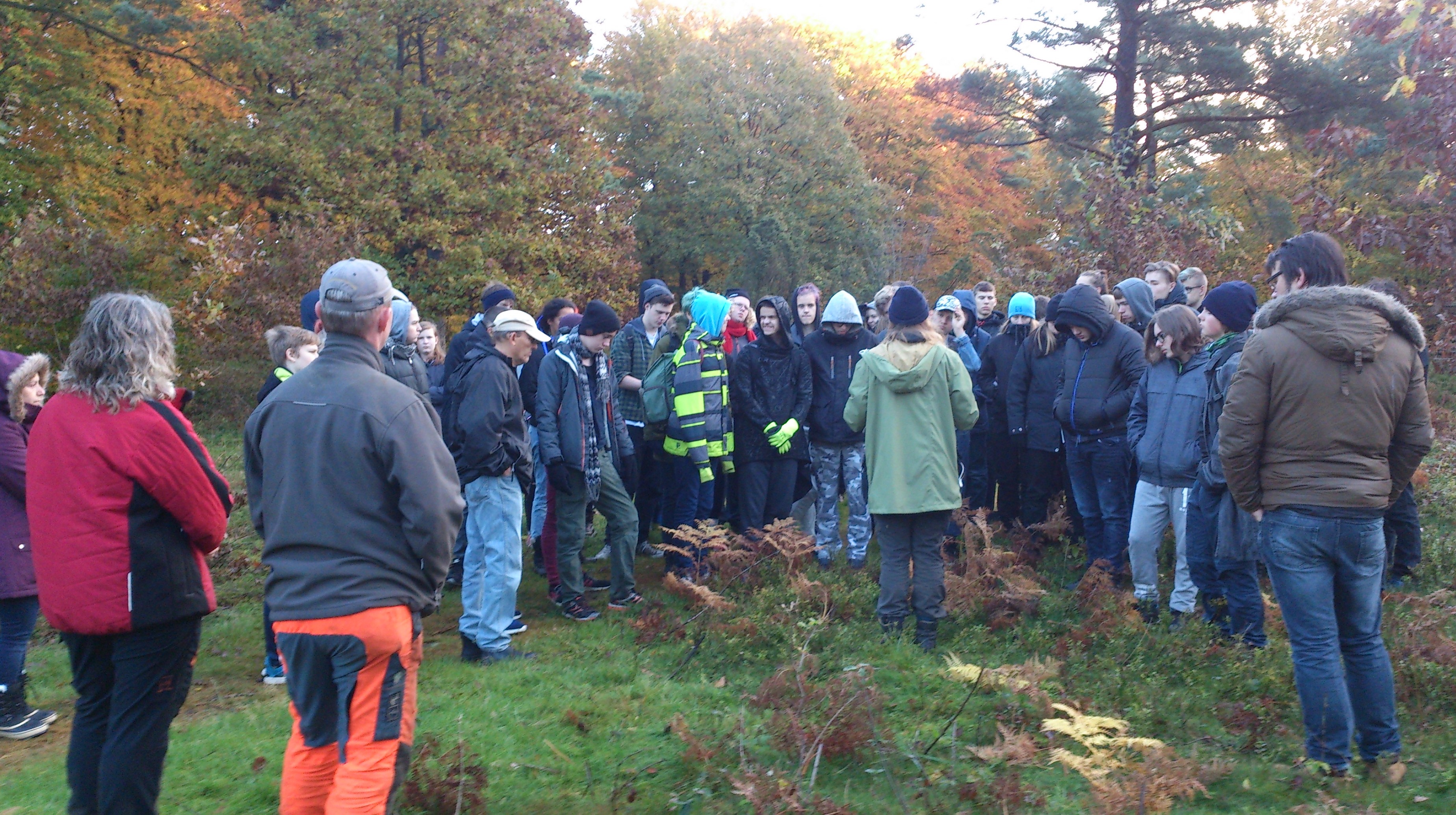 Naturpleje i Linddalene - Hadsund