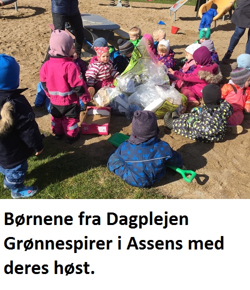 Affaldsindsamlingen 2016 – Rekord Deltagelse